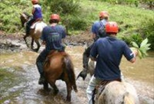 Waterfalls Horseback Riding